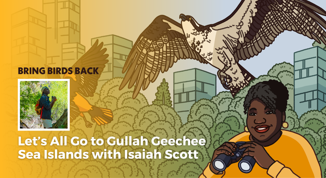 Let’s All Go To Gullah Geechee Sea Islands With Isaiah Scott | BirdNote